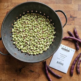 Pinkeye Purple Hull, Cowpea Seeds